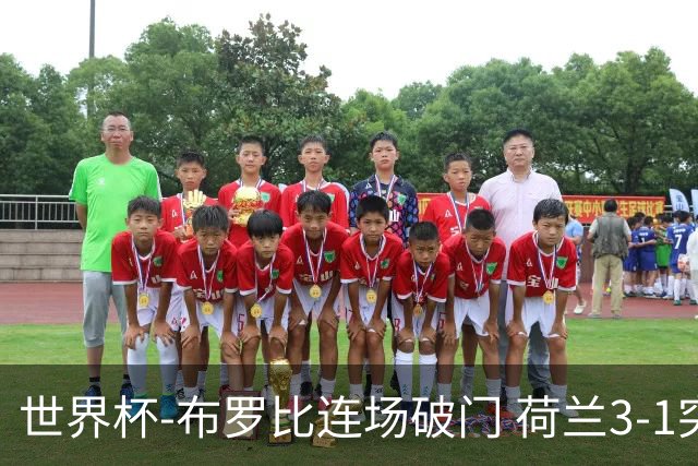 世界杯-布罗比连场破门 荷兰3-1突尼斯获小组头名将战摩洛哥
