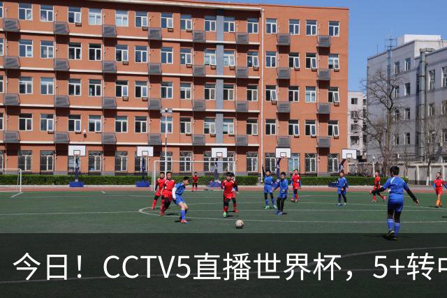 今日！CCTV5直播世界杯，5+转中国男篮VS日本+国乒孙颖莎和王楚钦出战+温网，网络转中超+F1