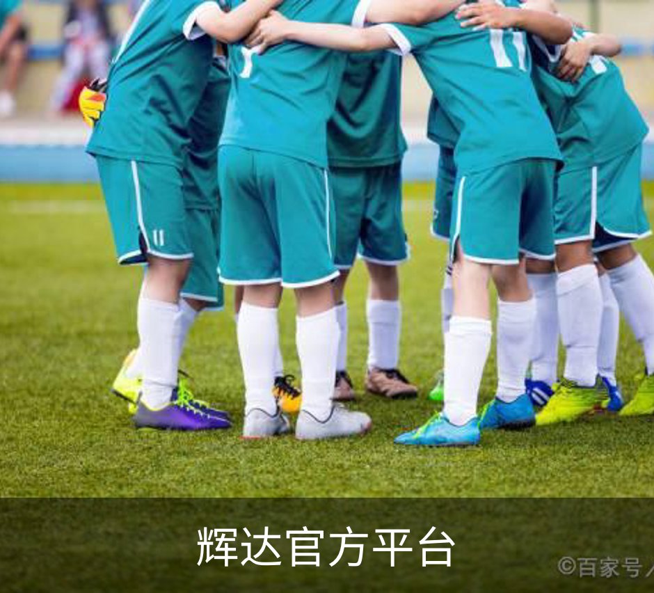 辉达官方平台介绍